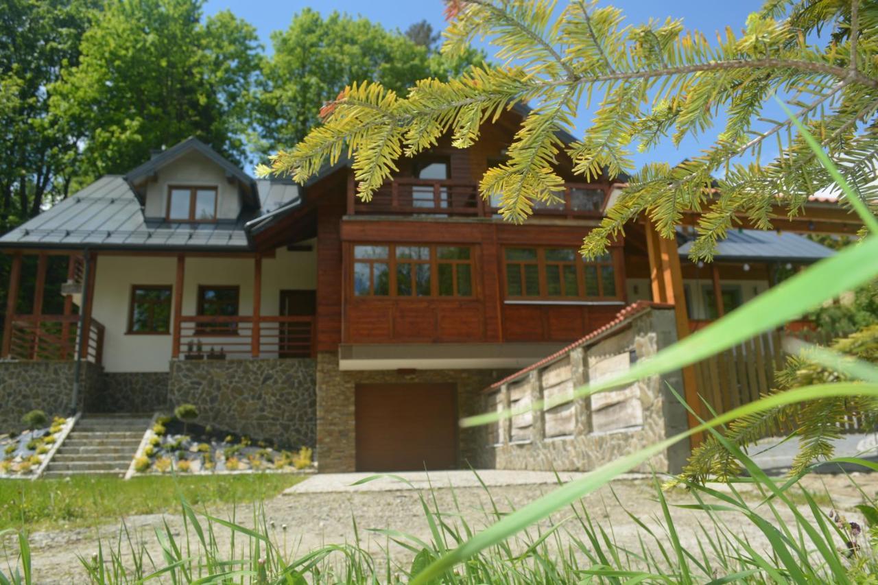 Domek Nad Kryniczanka Krynica-Zdrój Exteriör bild