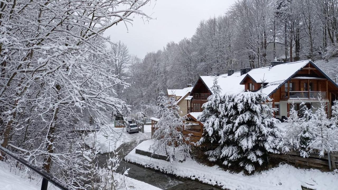 Domek Nad Kryniczanka Krynica-Zdrój Exteriör bild